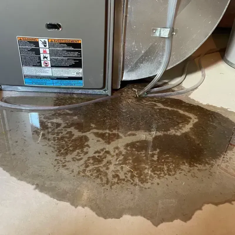 Appliance Leak Cleanup in Ashland, MO